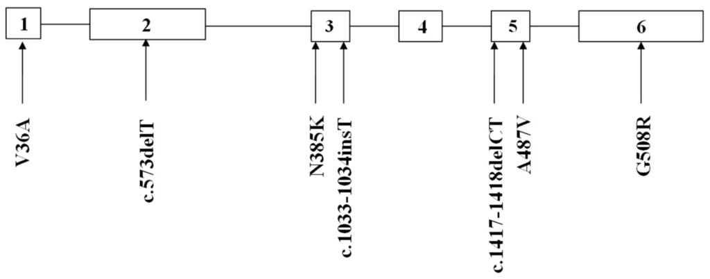 Ijms 16 06668 g001 1024