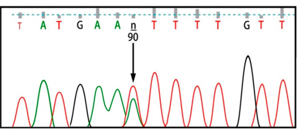 Ijms 16 06668 g002 1024