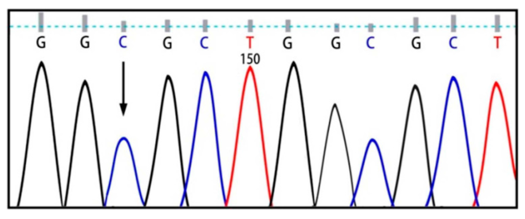 Ijms 16 06668 g003 1024