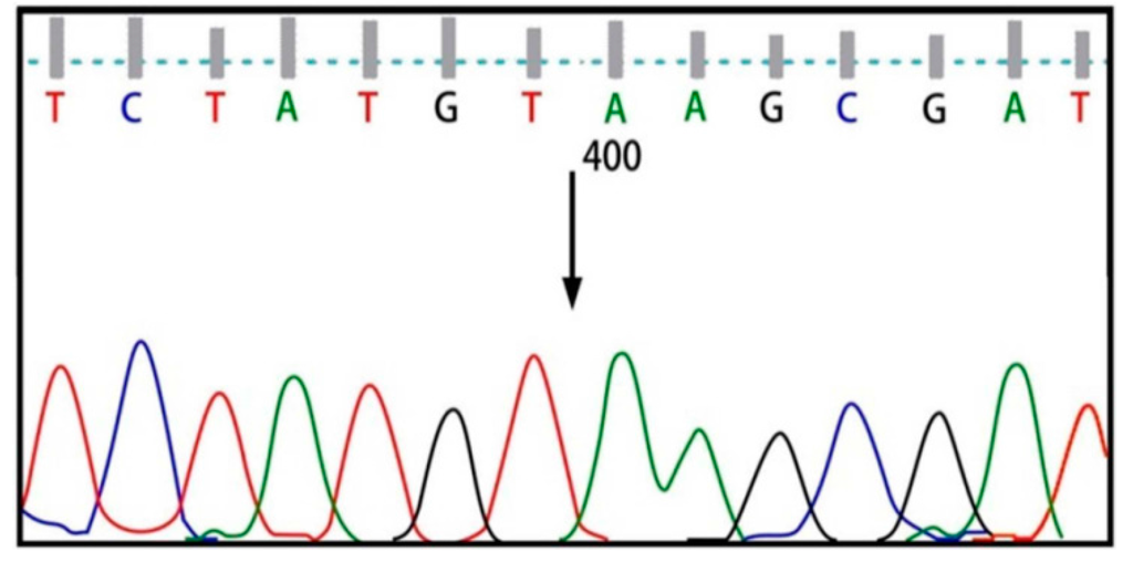 Ijms 16 06668 g004 1024