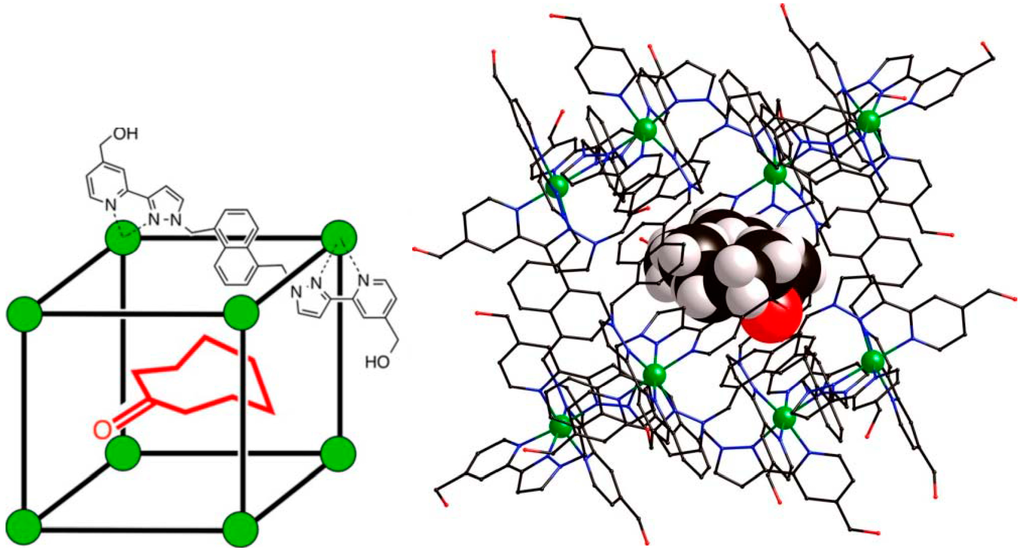 Ijms 16 06694 g019 1024