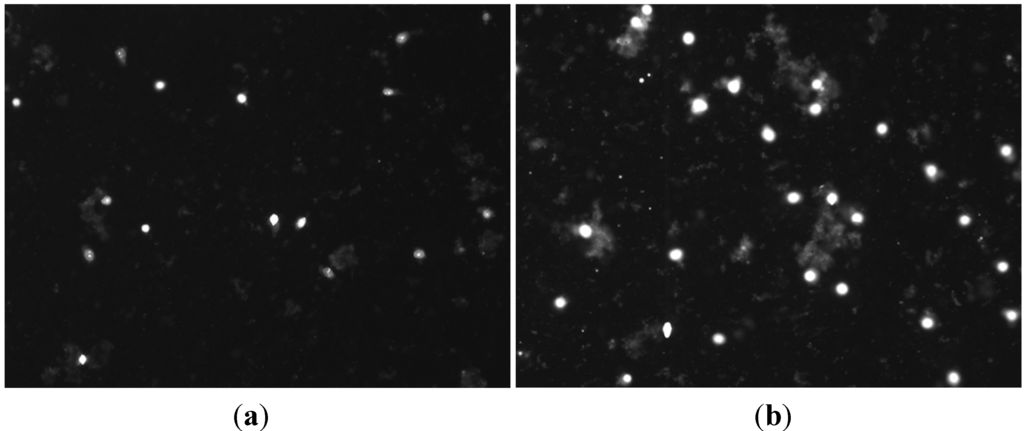 Ijms 16 06890 g002 1024