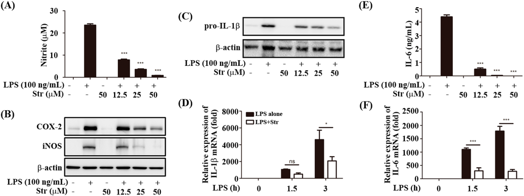 Ijms 16 06902 g001a 1024