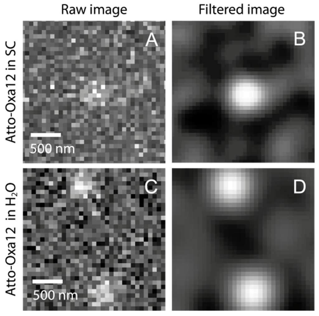 Ijms 16 06960 g009 1024