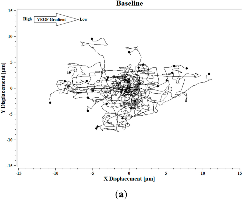 Ijms 16 07159 g004a 1024