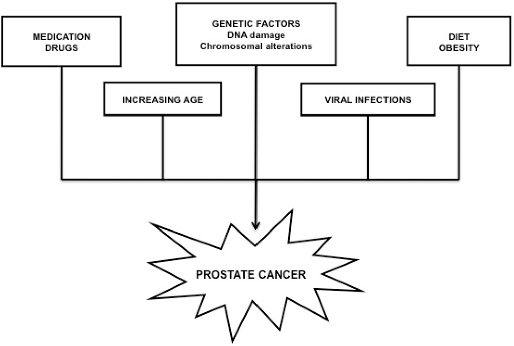 Ijms 16 07230 g002 1024