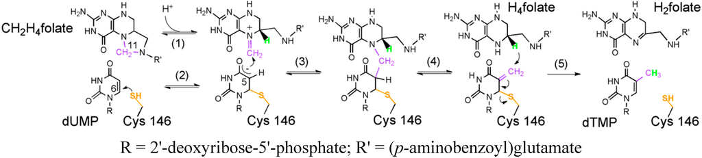 Ijms 16 07304 g008 1024