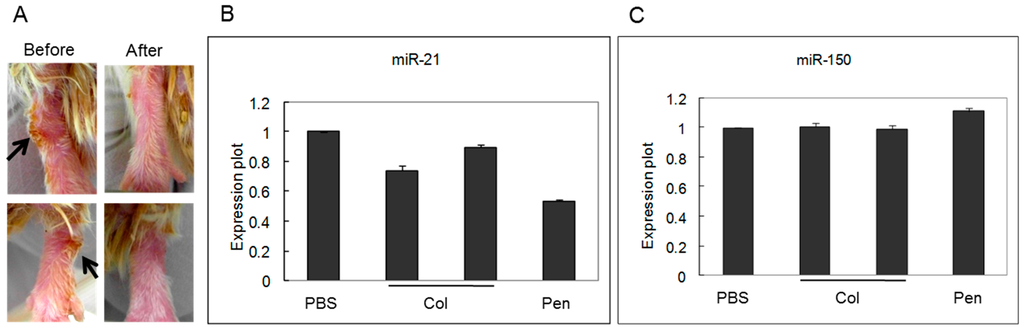 Ijms 16 07413 g002 1024