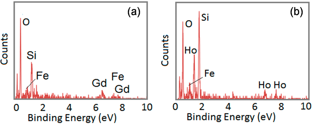 Ijms 16 07535 g004 1024