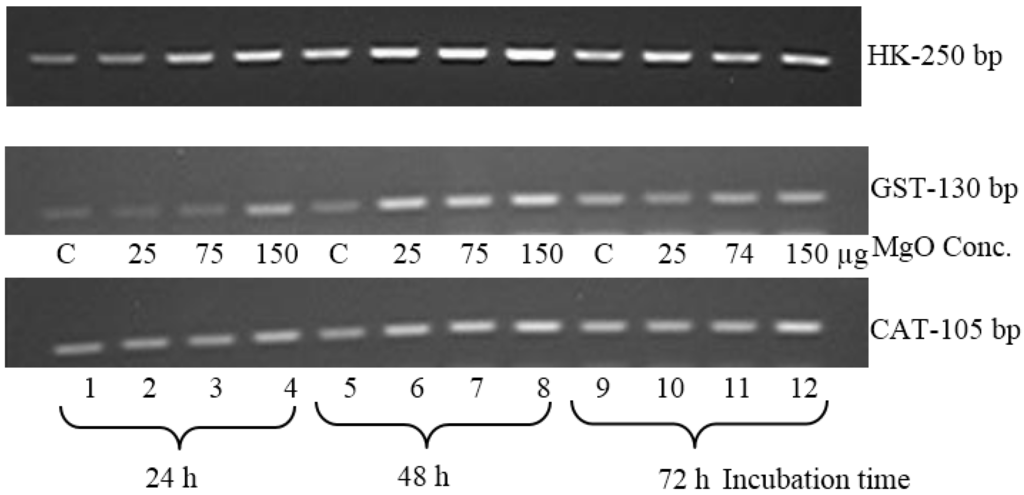 Ijms 16 07551 g003 1024