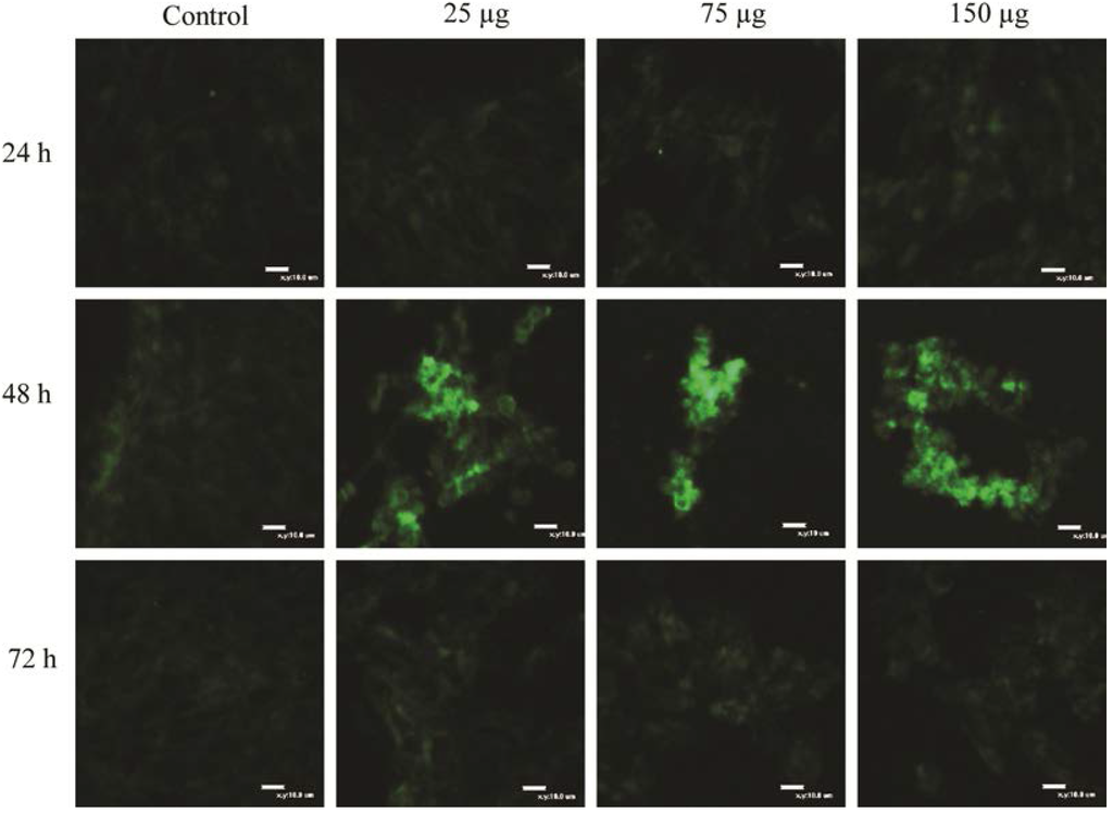 Ijms 16 07551 g004 1024