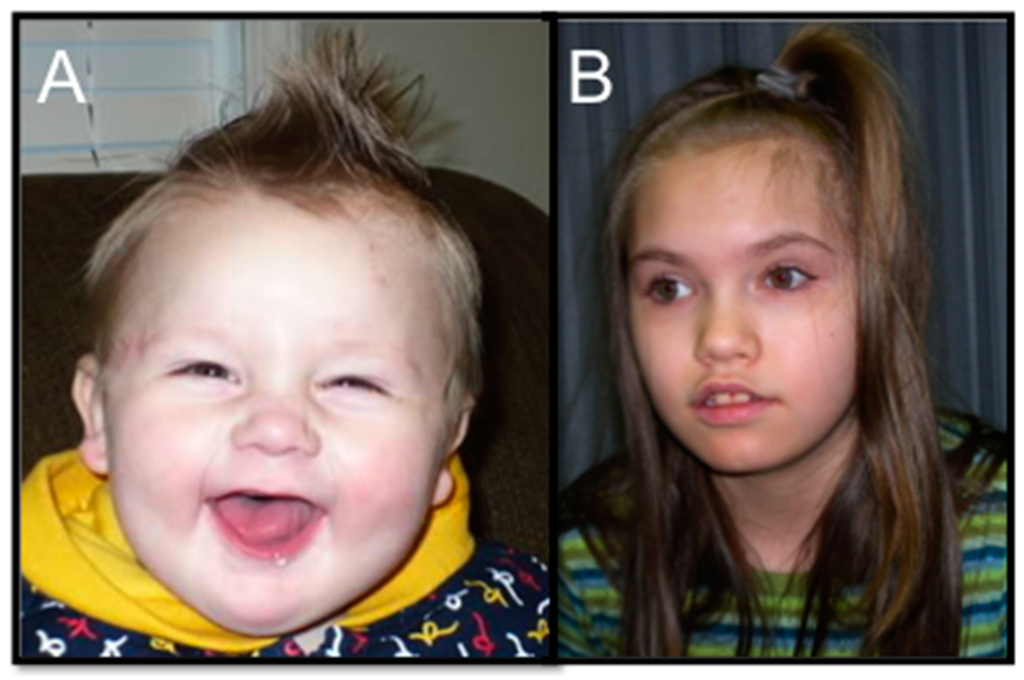 Ijms 16 07627 g001 1024