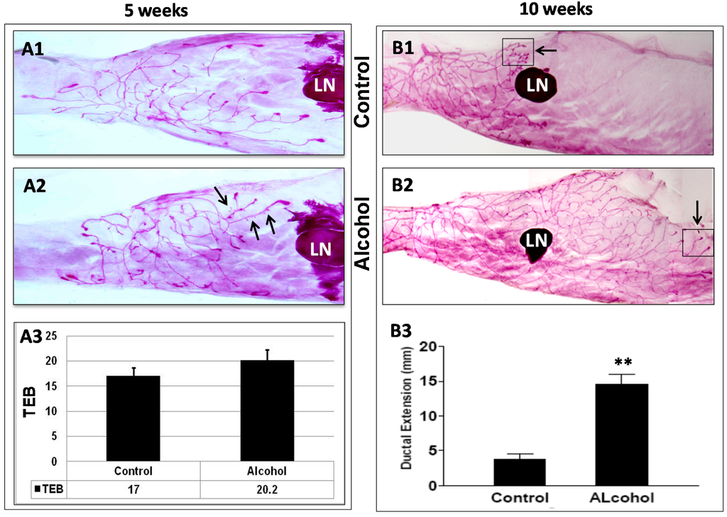 Ijms 16 07655 g003 1024