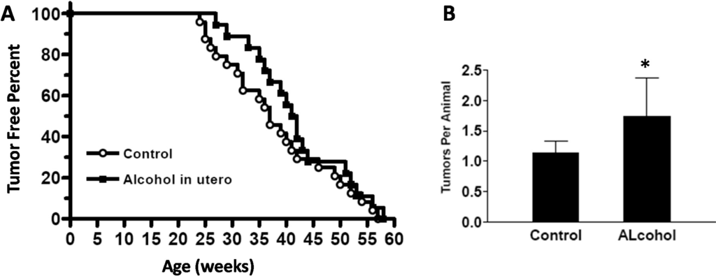 Ijms 16 07655 g007 1024