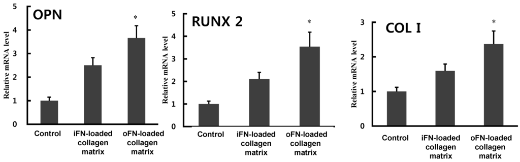 Ijms 16 07672 g005 1024