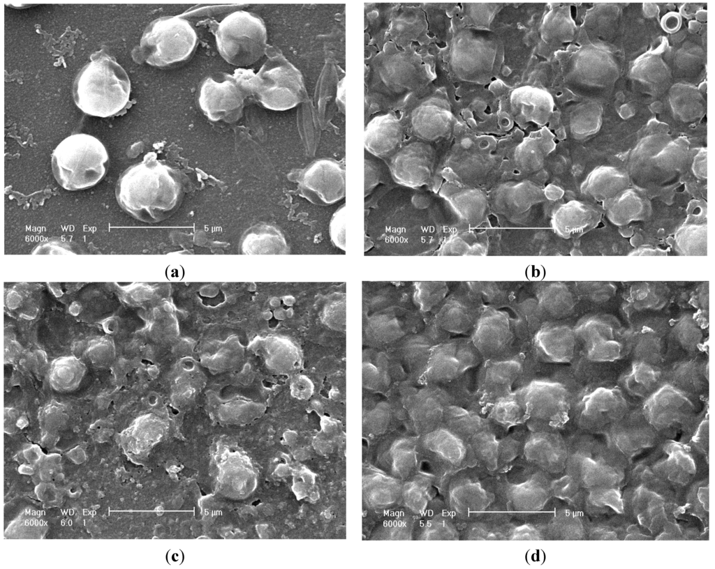 Ijms 16 07707 g005 1024