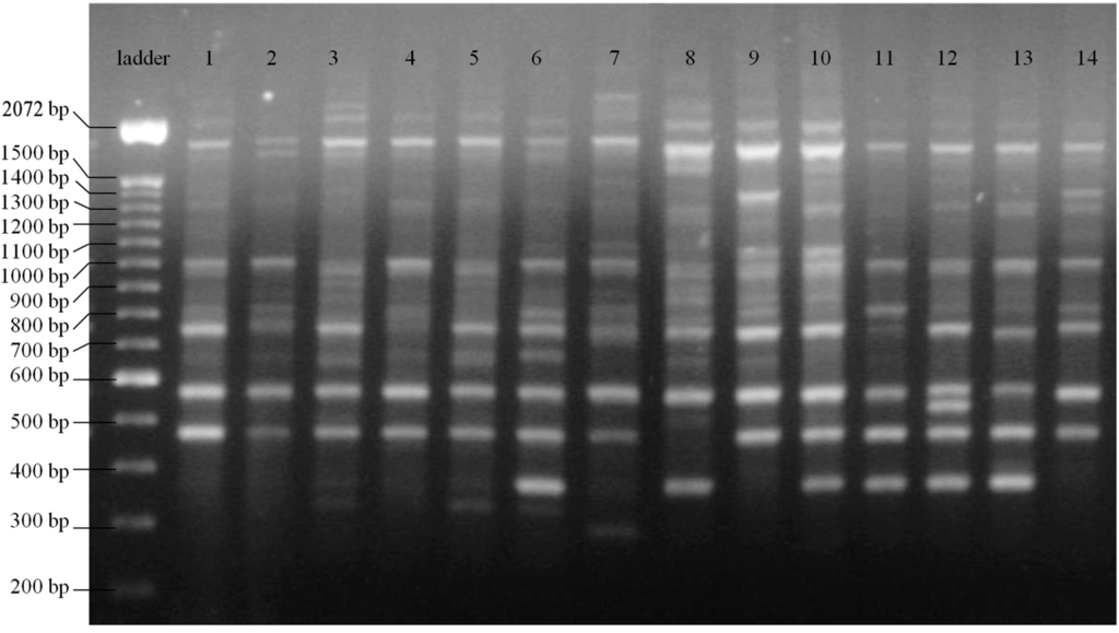 Ijms 16 07839 g001 1024