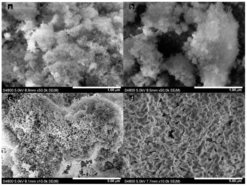 Ijms 16 07960 g002 1024