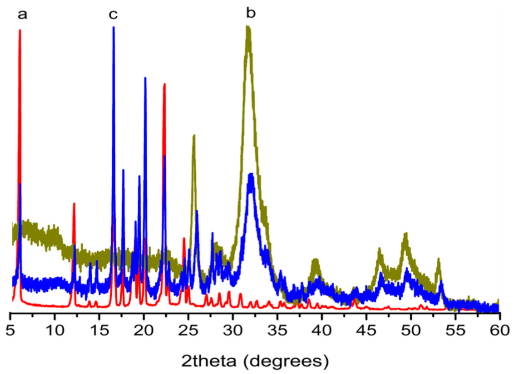 Ijms 16 07960 g003 1024