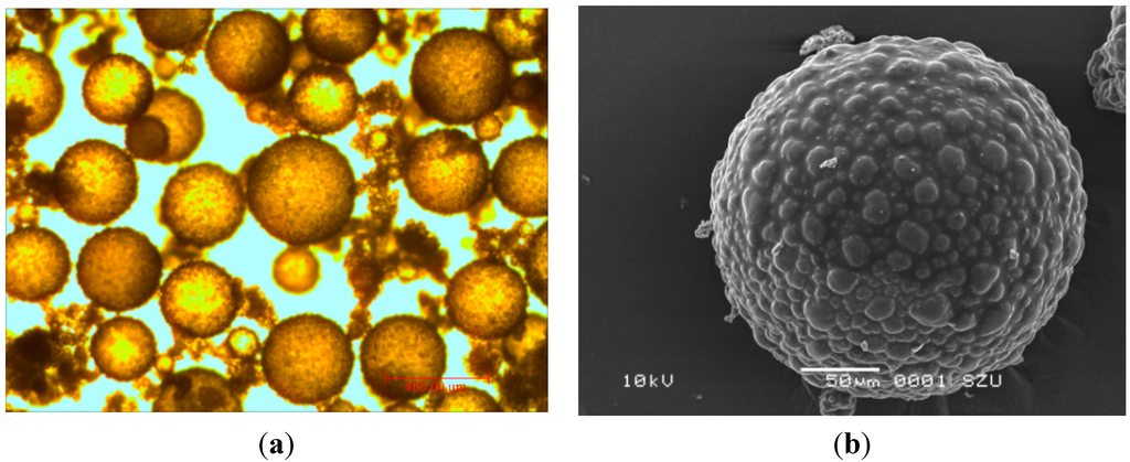 Ijms 16 08027 g004 1024