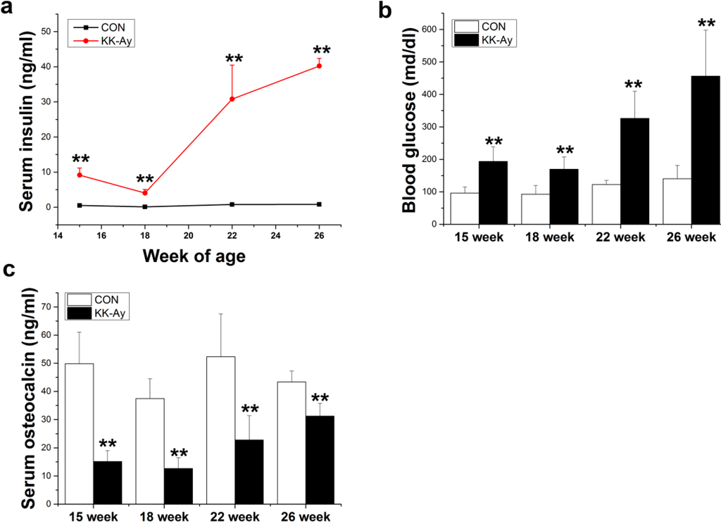 Ijms 16 08213 g001 1024
