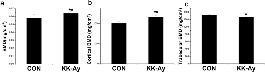 Ijms 16 08213 g002 1024