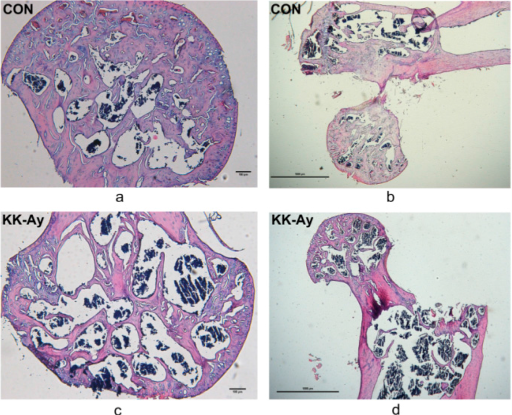 Ijms 16 08213 g003 1024