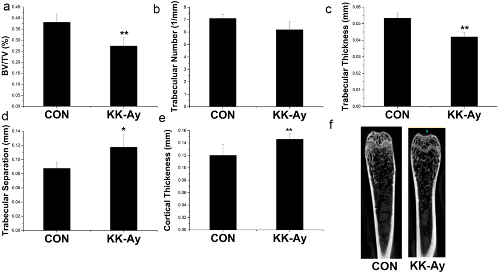 Ijms 16 08213 g004 1024