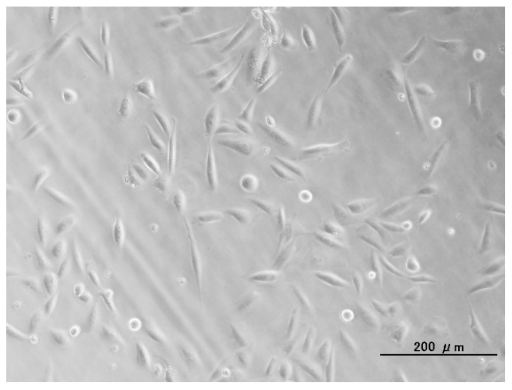 Ijms 16 08294 g006 1024