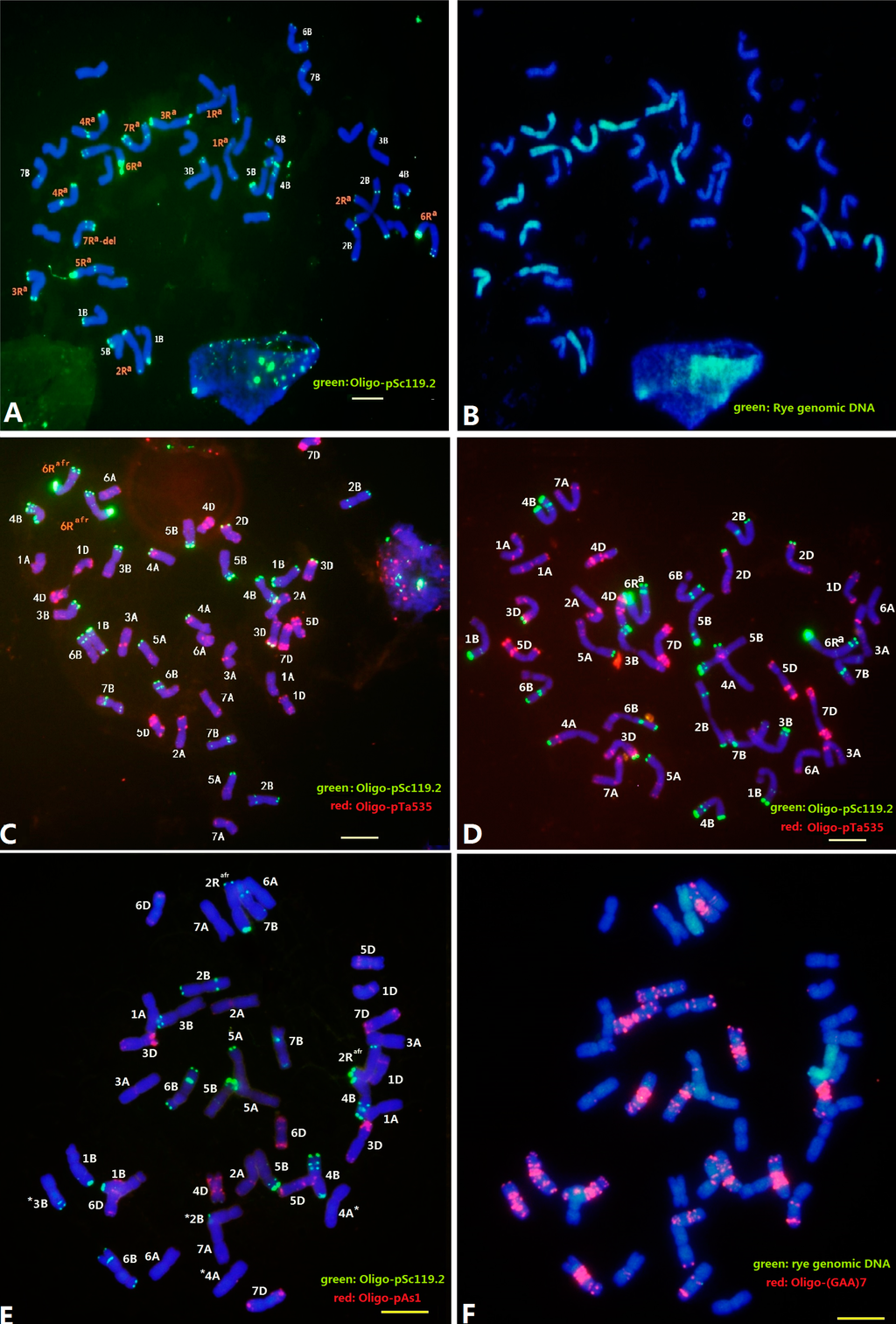 Ijms 16 08324 g001 1024