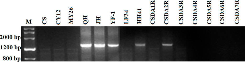 Ijms 16 08324 g002 1024