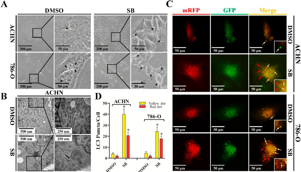 Ijms 16 08415 g001 1024