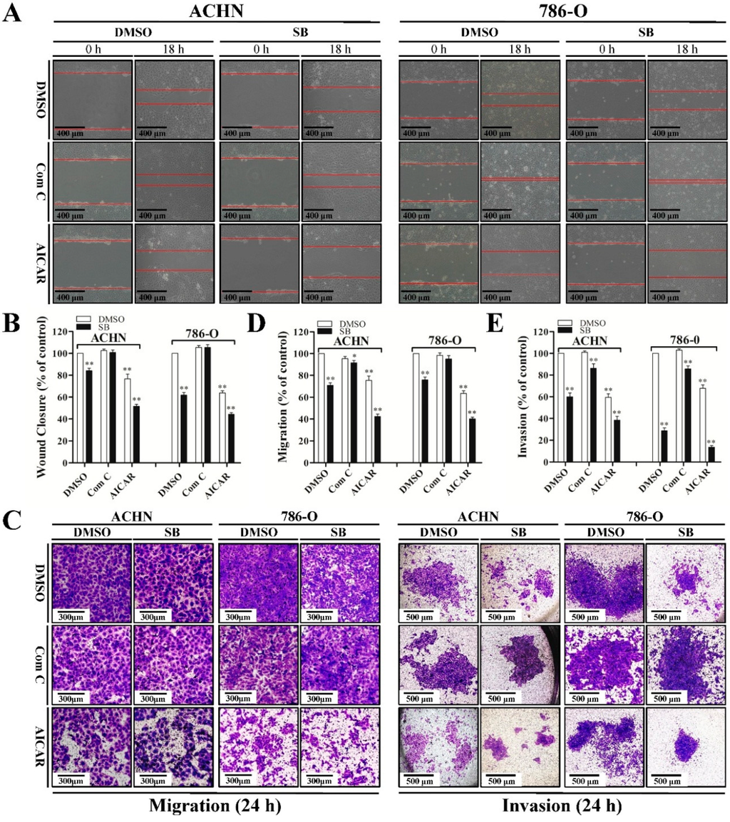 Ijms 16 08415 g004 1024