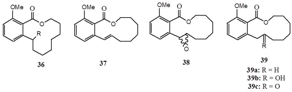 Ijms 16 08569 g014 1024