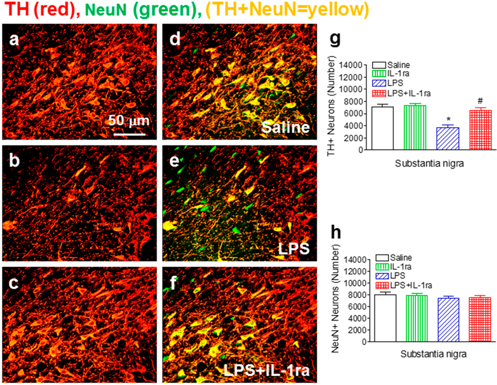 Ijms 16 08635 g002 1024