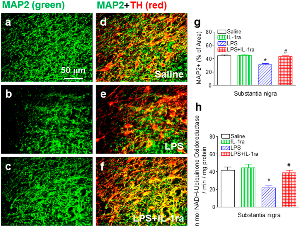 Ijms 16 08635 g003 1024