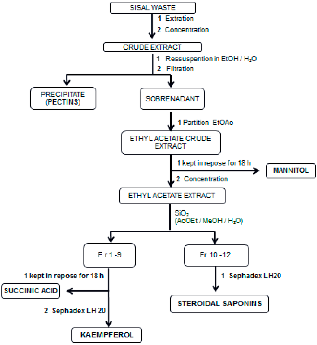 Ijms 16 08761 g002 1024