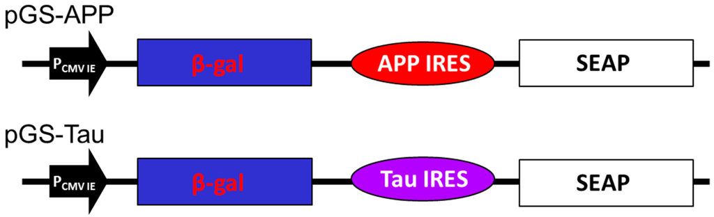 Ijms 16 08789 g001 1024