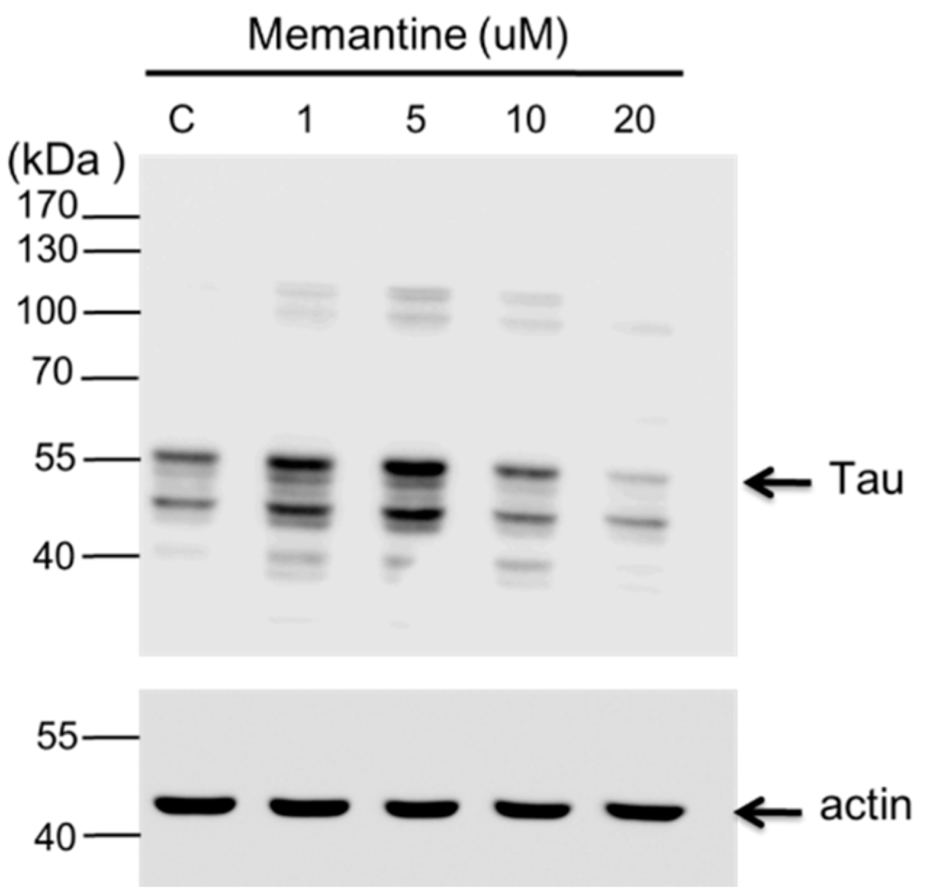 Ijms 16 08789 g004 1024