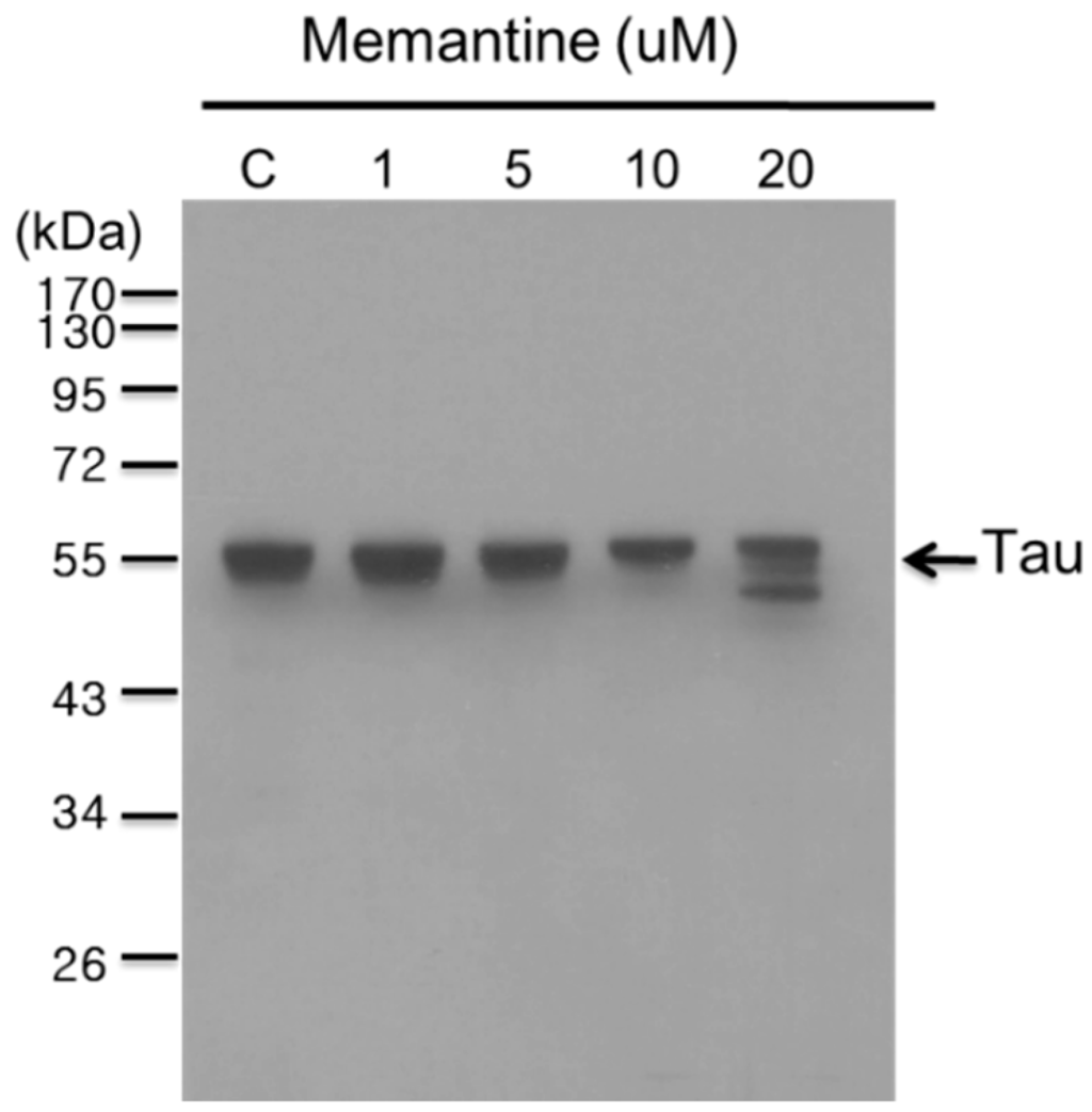 Ijms 16 08789 g005 1024