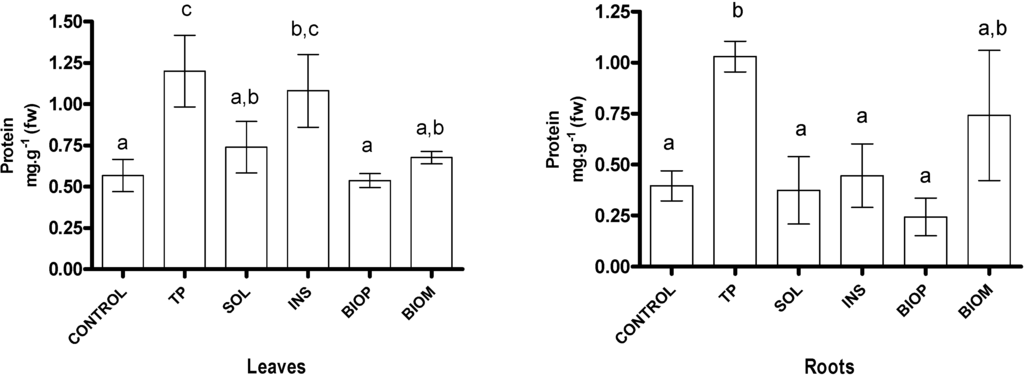 Ijms 16 08826 g004 1024