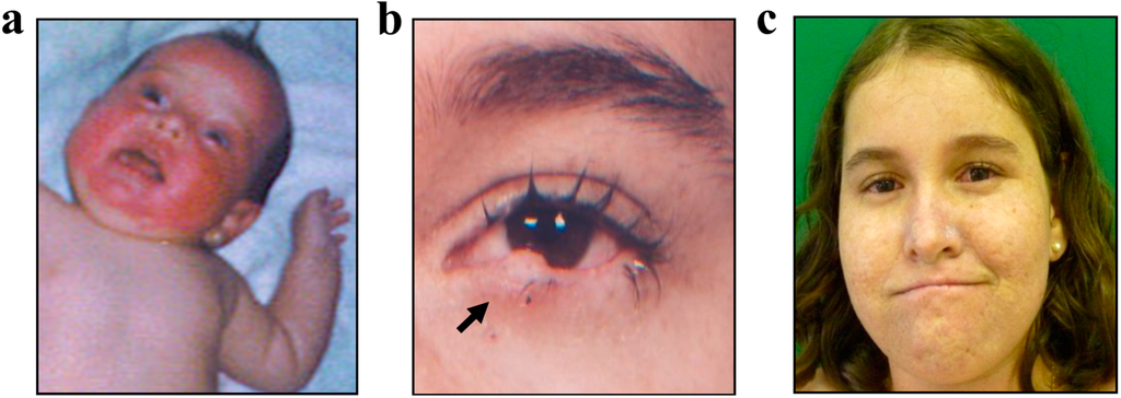 Ijms 16 08988 g002 1024