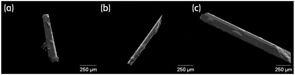 Ijms 16 09017 g002 1024