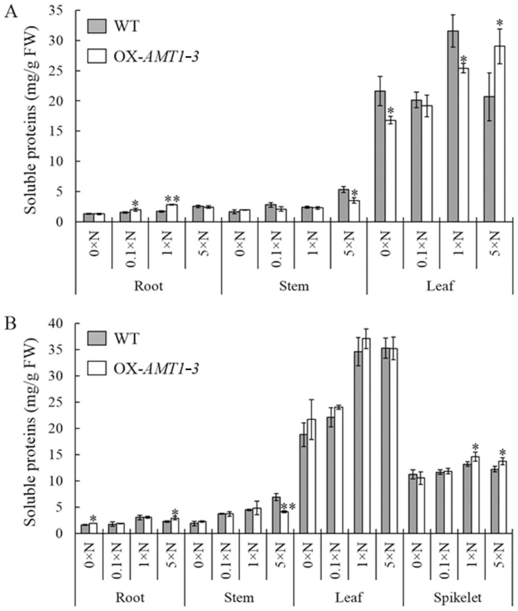 Ijms 16 09037 g005 1024