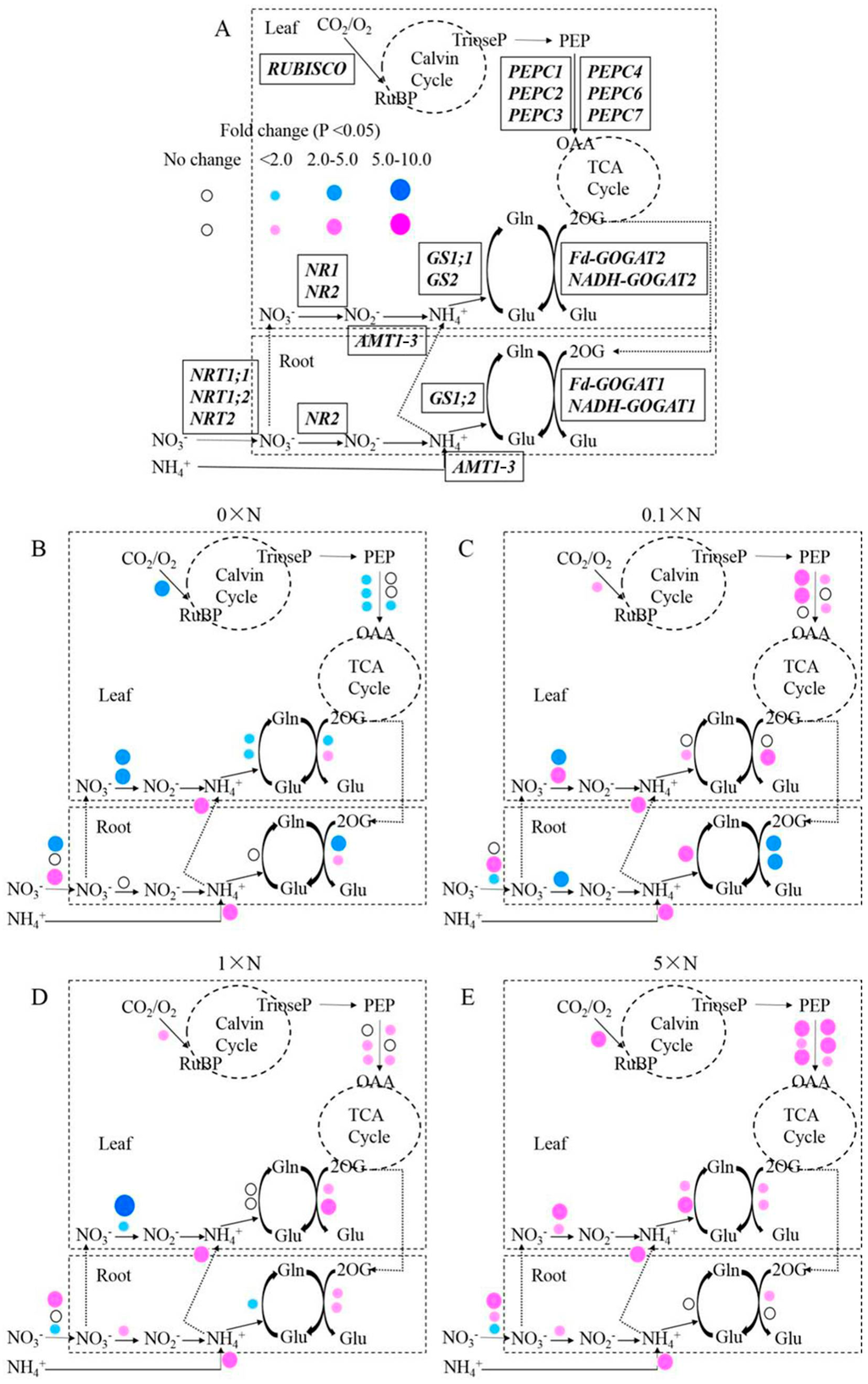 Ijms 16 09037 g008 1024