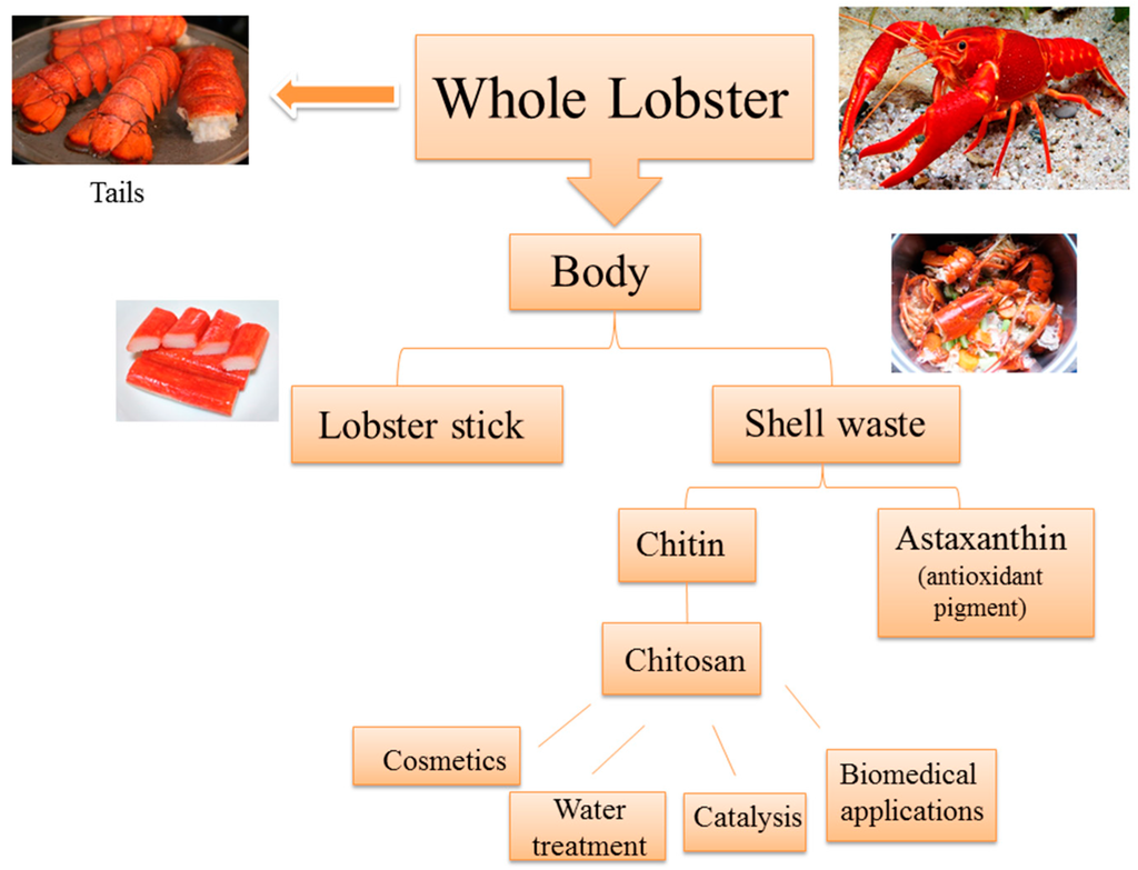 Ijms 16 09064 g001 1024