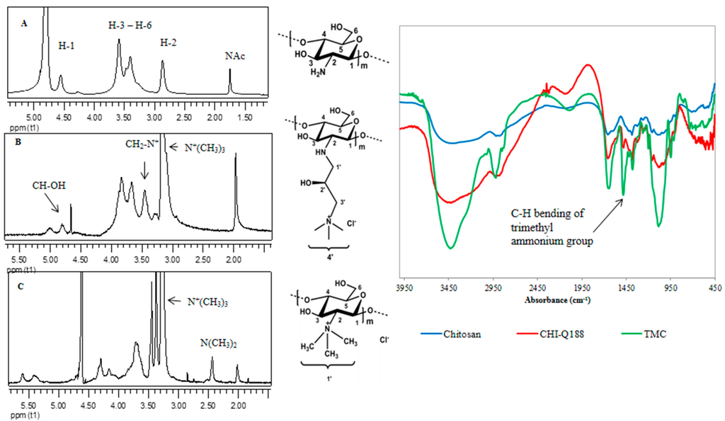 Ijms 16 09064 g003 1024