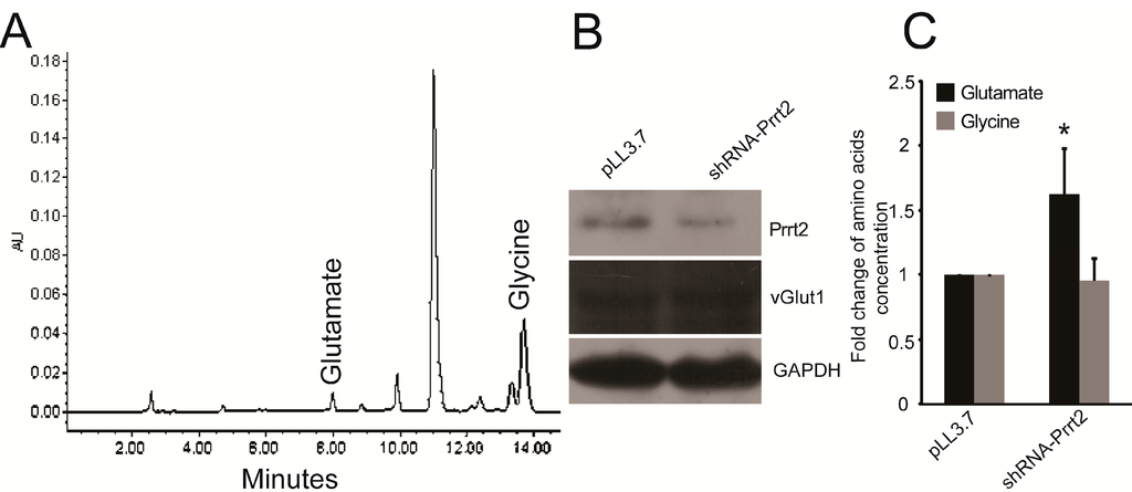 Ijms 16 09134 g002 1024