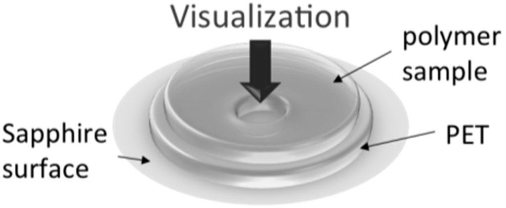 Ijms 16 09196 g010 1024