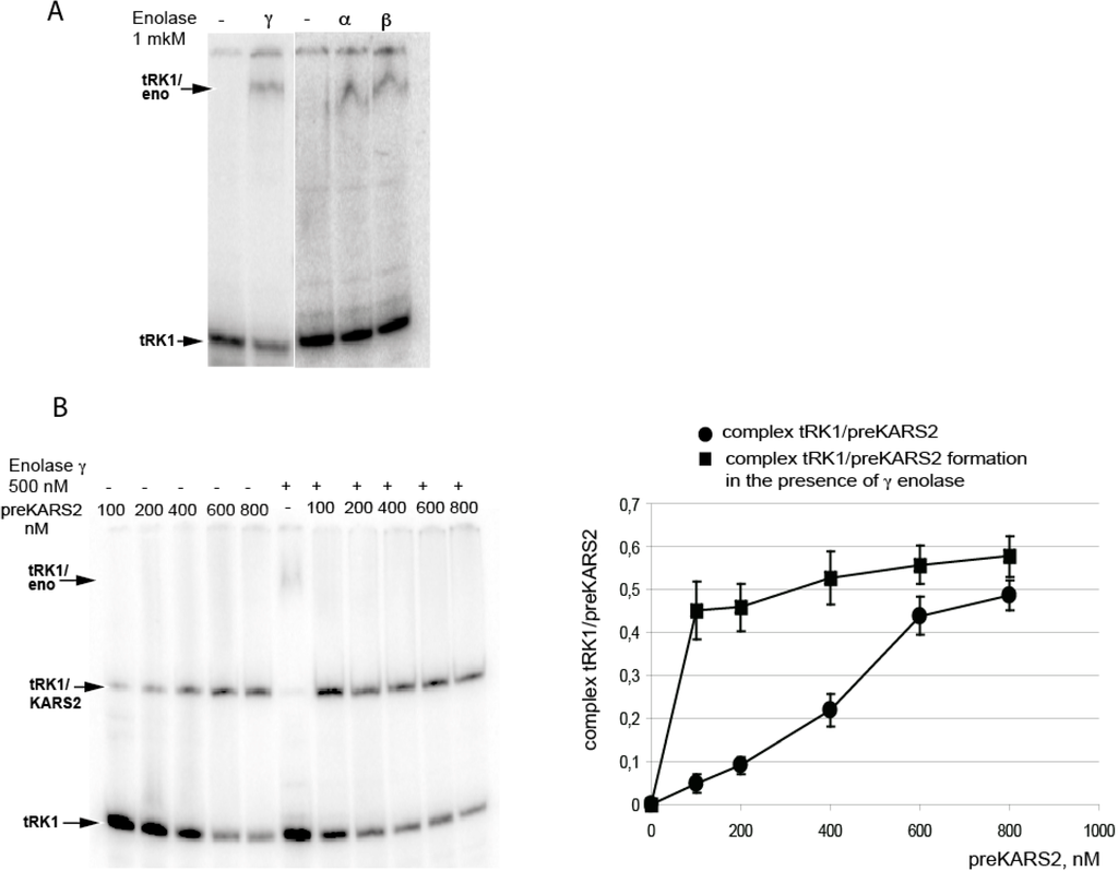 Ijms 16 09354 g004 1024